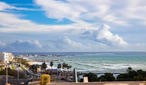 Verkauf Wohnung Palma de Mallorca