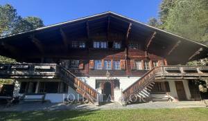 Vermietung Chalet Schönried