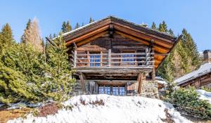 Vermietung Chalet Verbier
