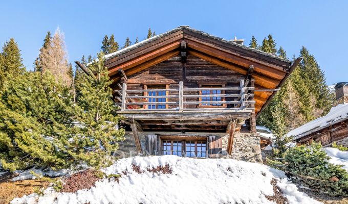 Vermietung Chalet Verbier