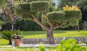 Vermietung Haus Valbonne