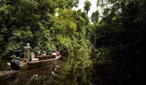 Vermietung Motor Yacht 