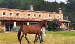 Vermietung Villa Esporles