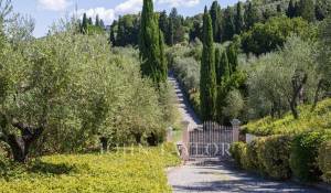 Vermietung Wohnung Firenze