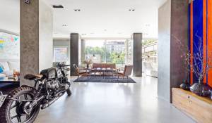 Vermietung Wohnung Madrid