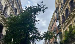 Vermietung Wohnung Madrid