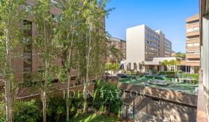 Vermietung Wohnung Madrid