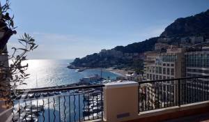 Vermietung Wohnung Monaco