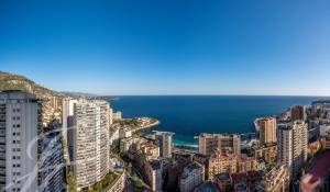 Vermietung Wohnung Monaco