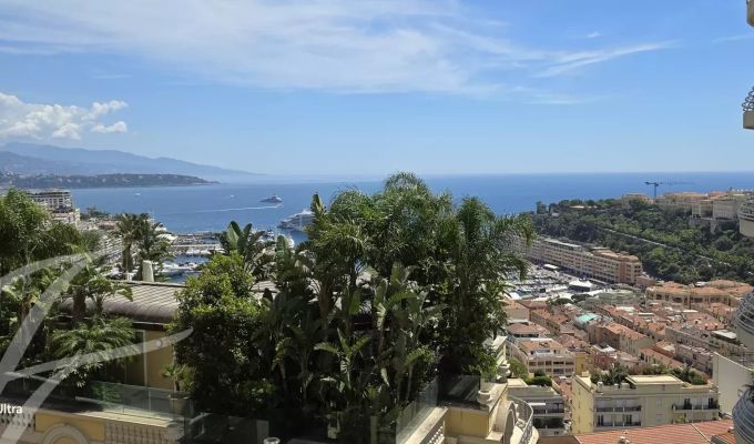 Vermietung Wohnung Monaco
