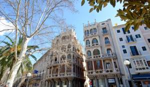 Vermietung Wohnung Palma de Mallorca