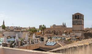 Vermietung Wohnung Palma de Mallorca