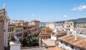 Vermietung Wohnung Palma de Mallorca